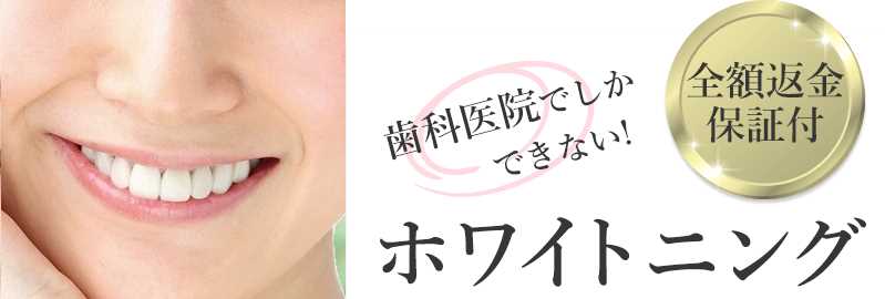 �X�^�[�z���C�g�j���O/�{�p��ɕs��������ΑS�z�ԋ��I���T�C�g